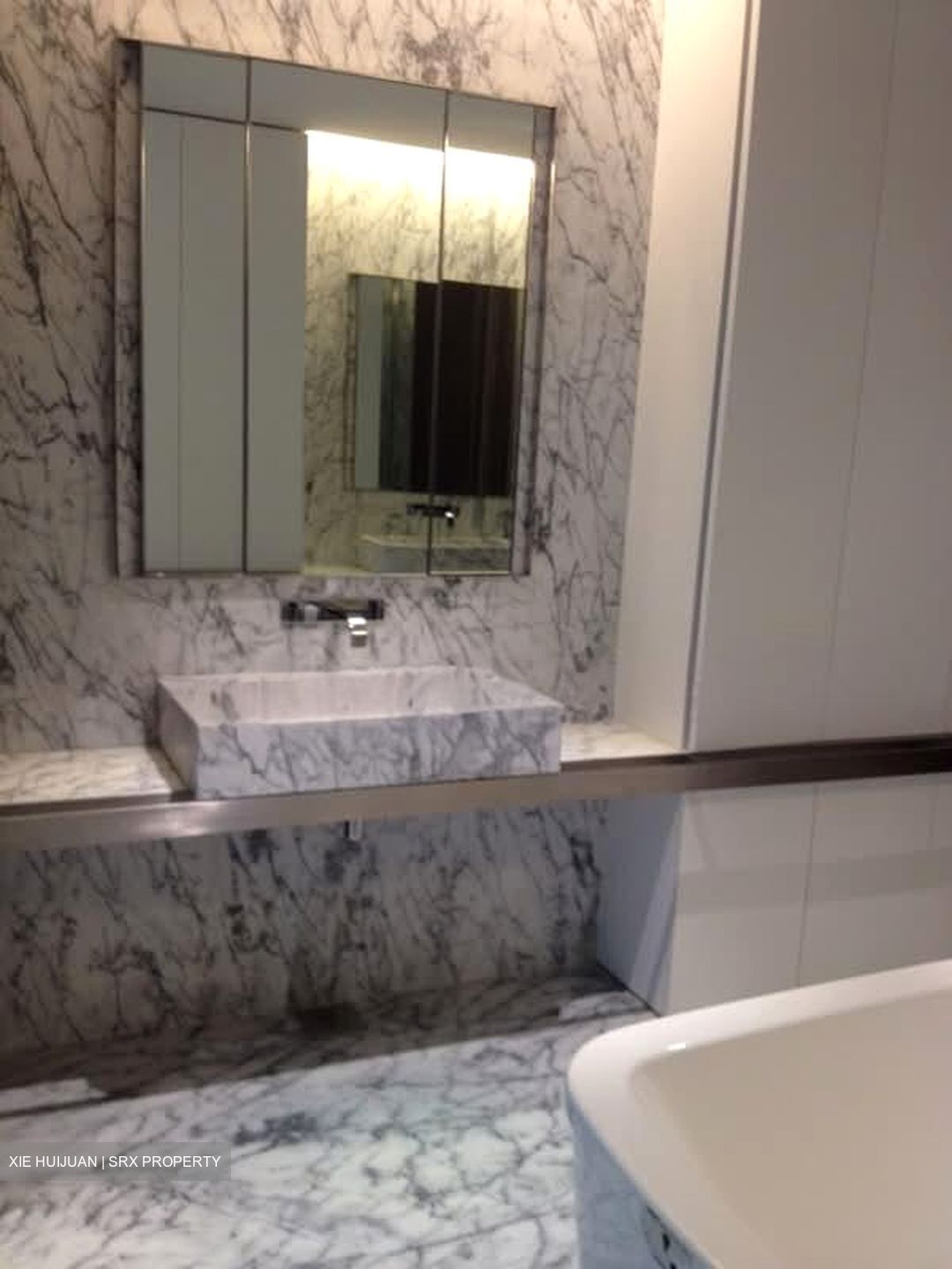 Nassim Park Residences (D10), Condominium #580237271